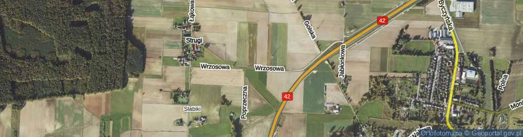 Zdjęcie satelitarne Wrzosowa ul.